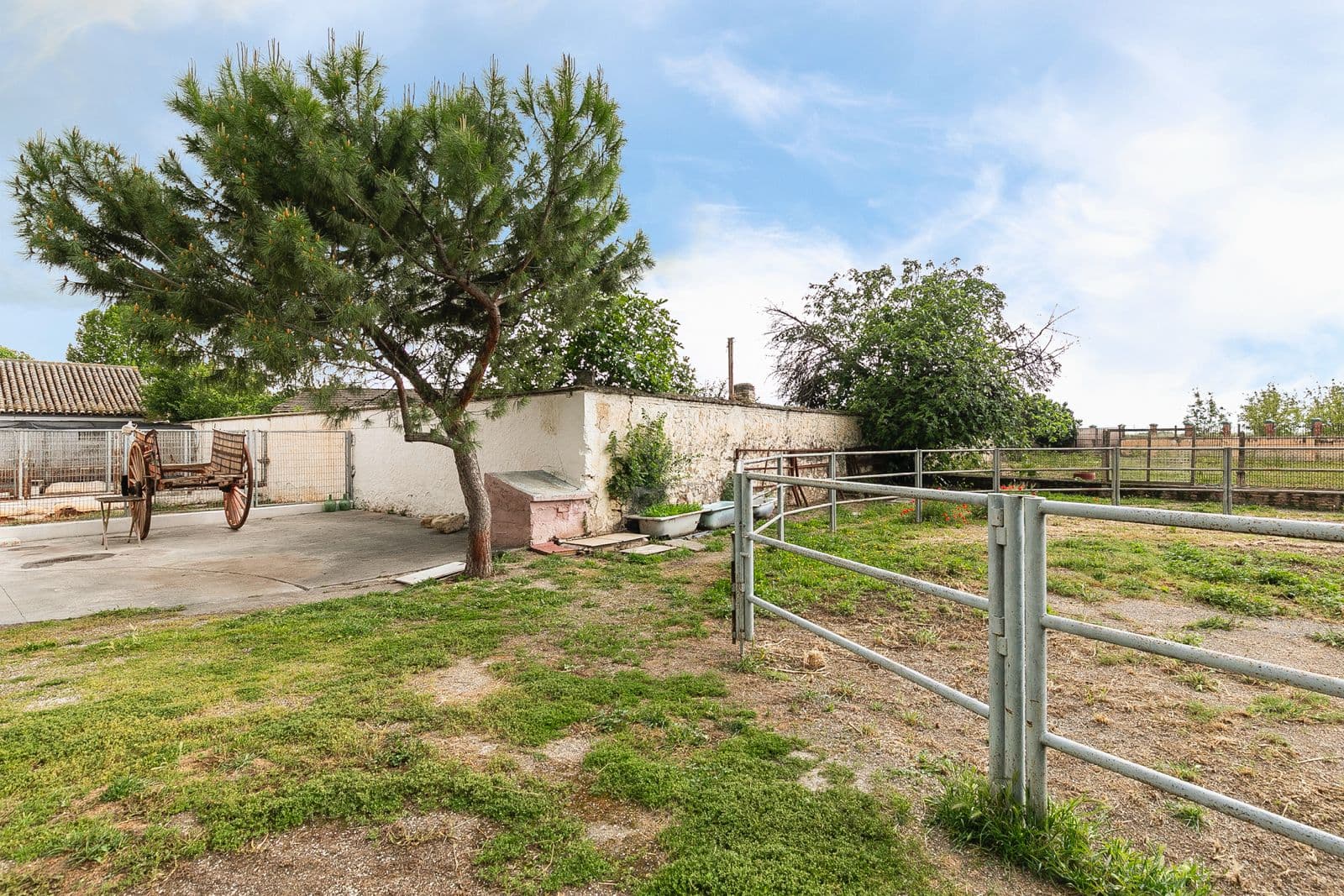 Cortijo el Alitaje — photo 3